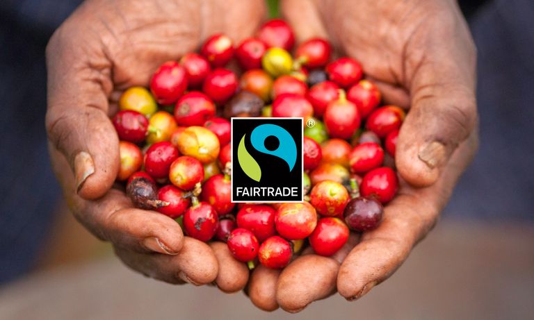 Fairtrade – UI Design für ein Katalog-CMS